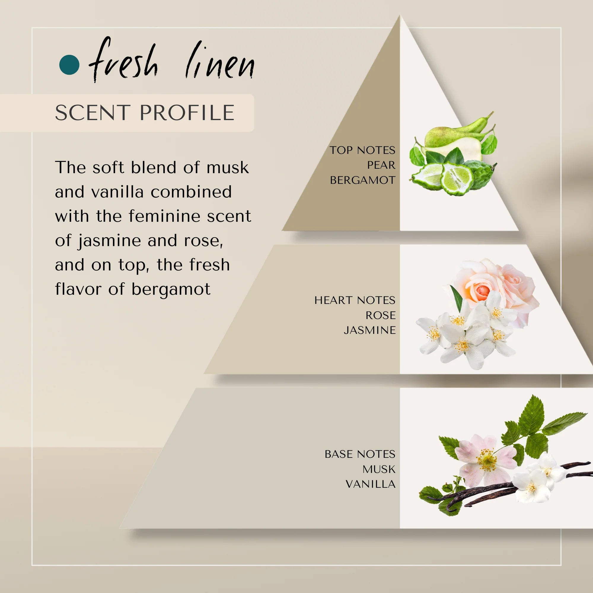 Daily Moisture Conditioner