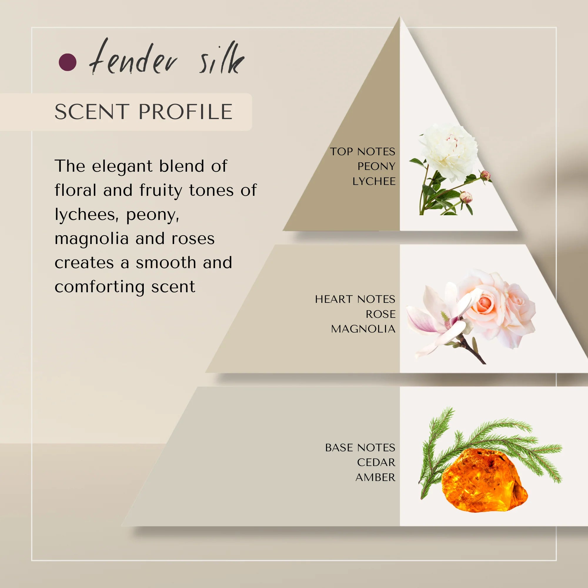 Bouncing Curls Conditioner