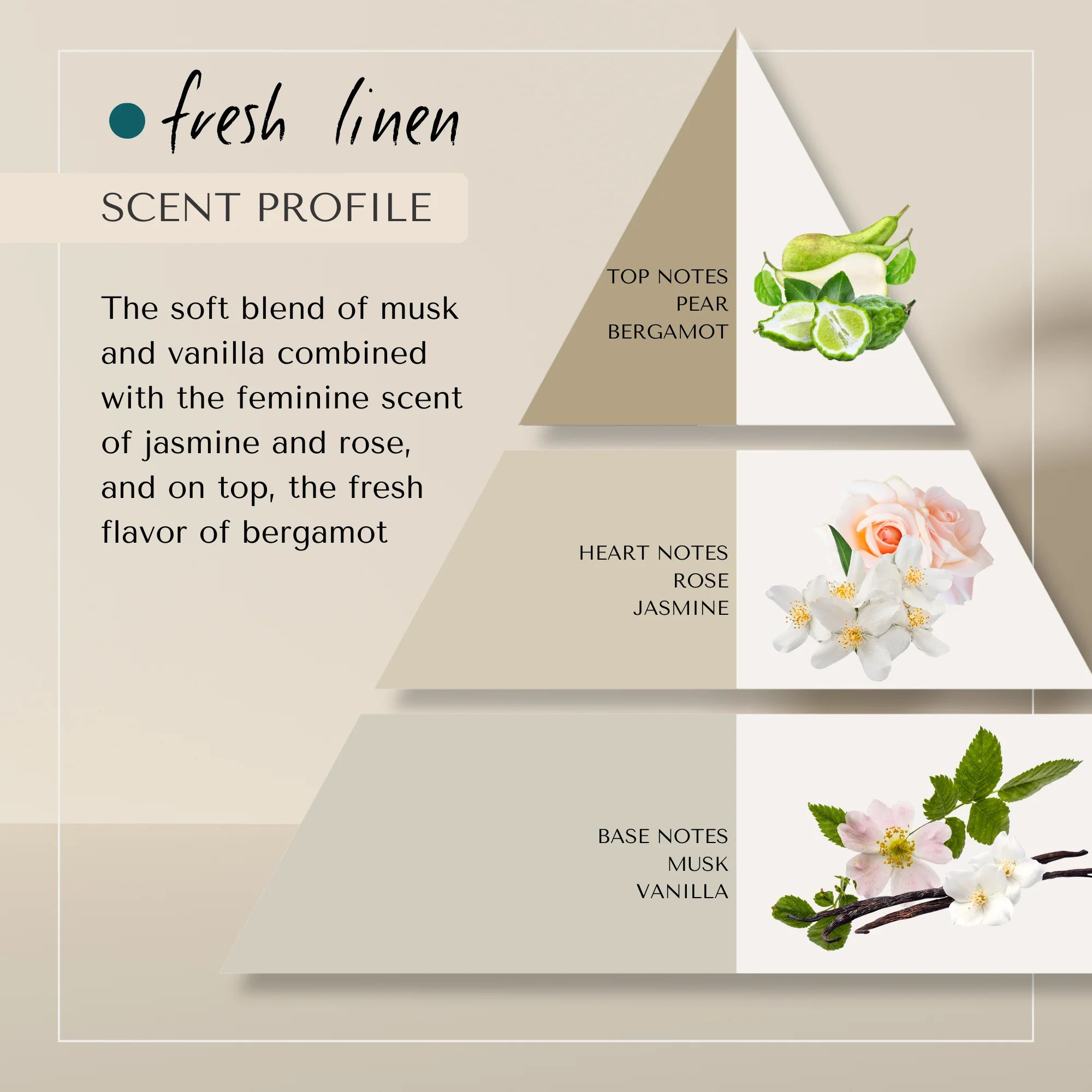 Daily Moisture Shampoo