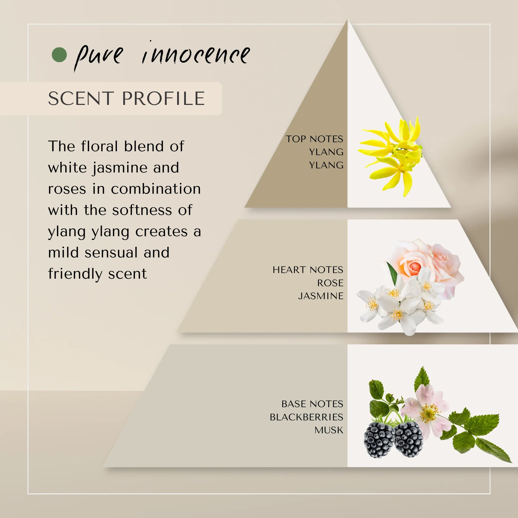 Pure Volume Conditioner